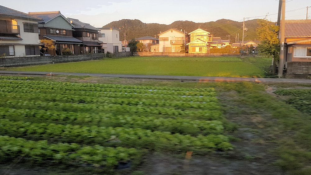 Wakayama countryside